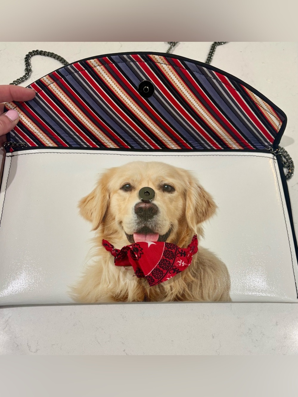NWOT, Ken Stetson Golden Retriever Dog Clutch/Crossbody Bag - Picture 12 of 15